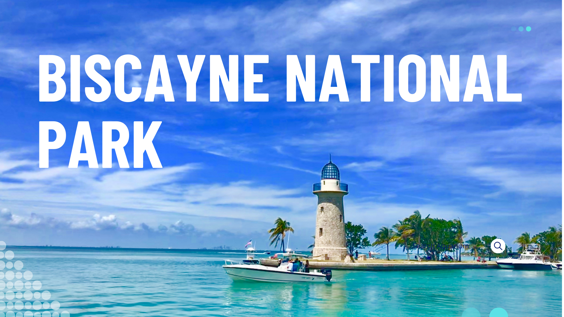 Should Biscayne National Park become a No-Fishing Zone?