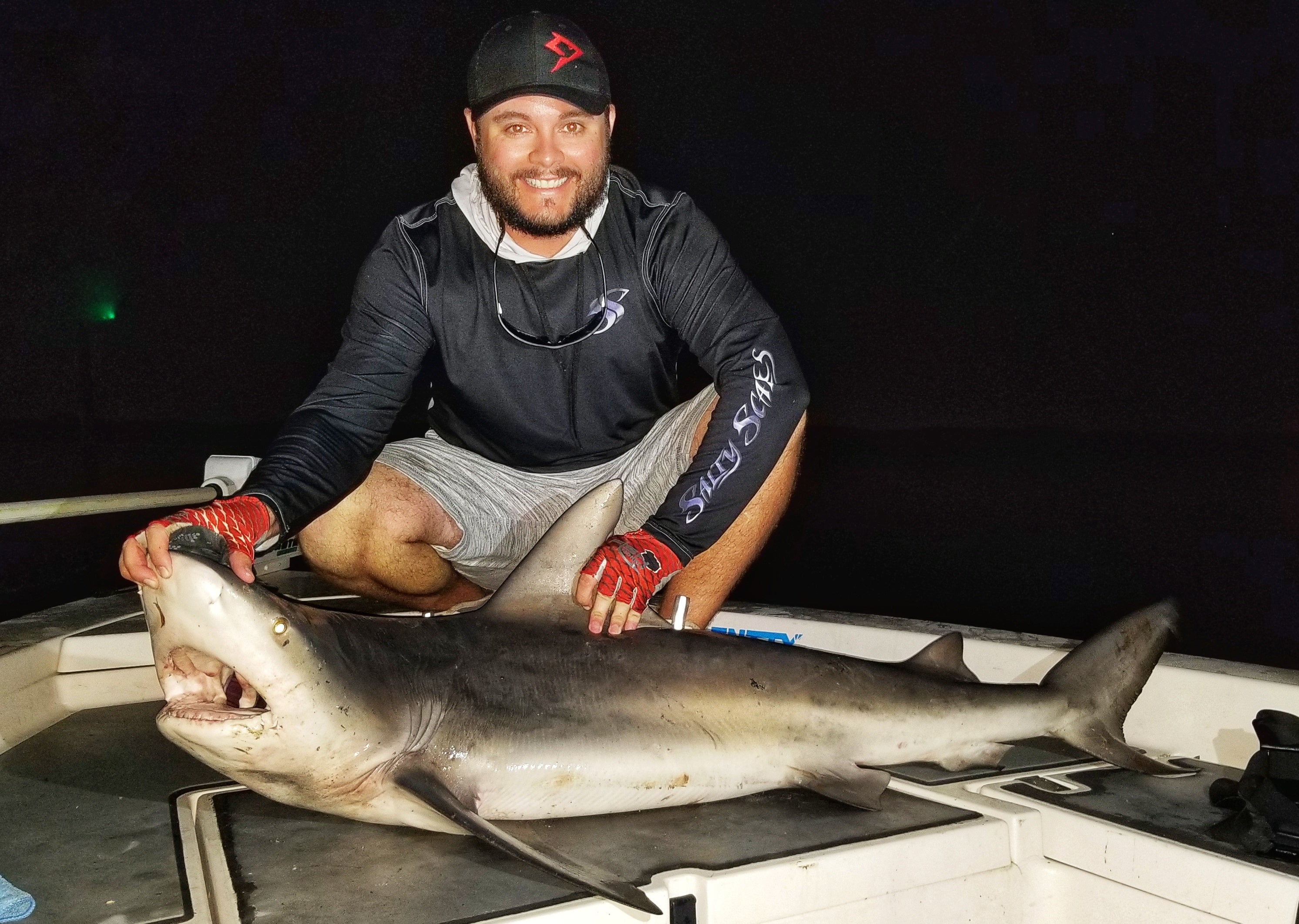 Winter Shark Fishing - How to Be Successful