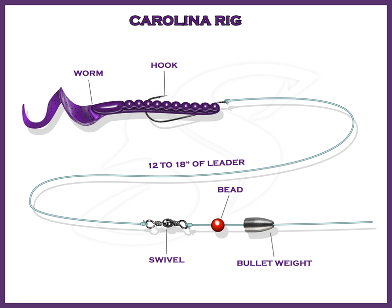 carolina rig fishing lure CRR Ready Brass Booms Official Online Exclusive Fish deeper Carolina Rig Fishing for Bass