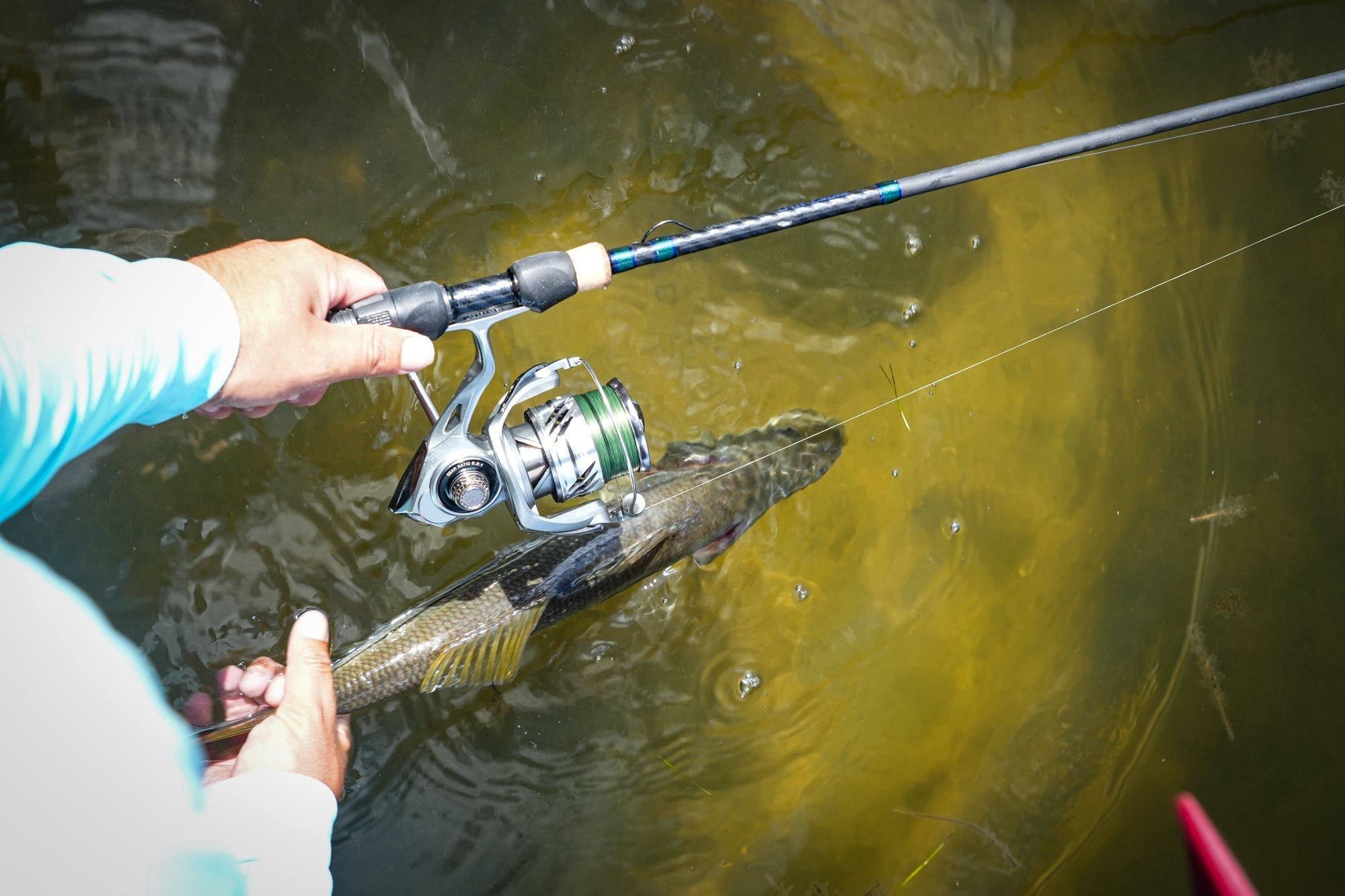 Snook Fishing Tips - For Novice & Pros