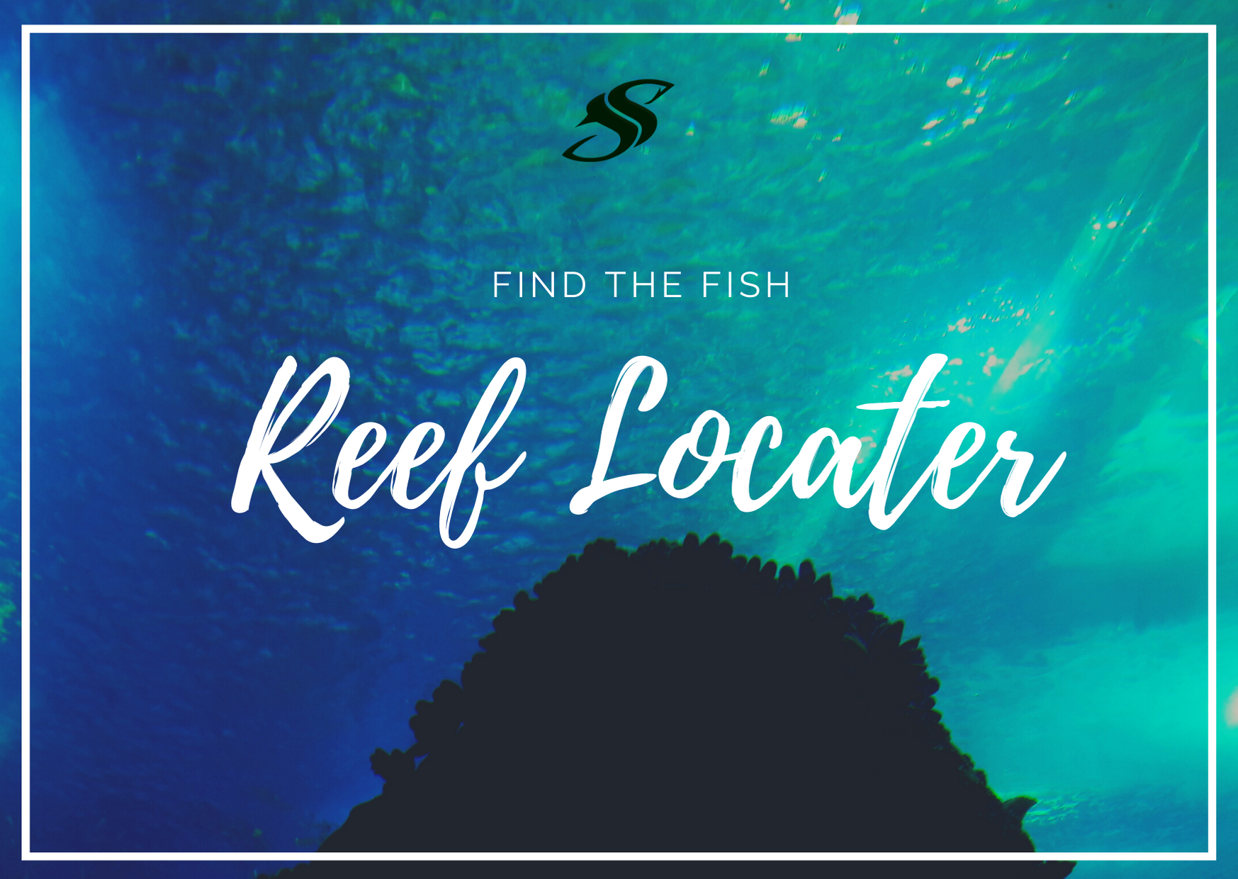 Public Reefs