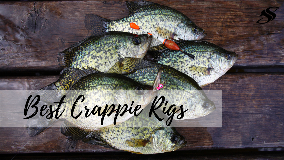 Check under dock for crappies in fall