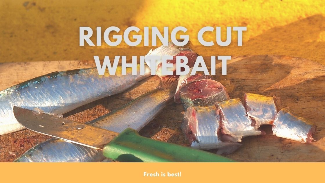 How to Rig Cut Greenbacks & Whitebait