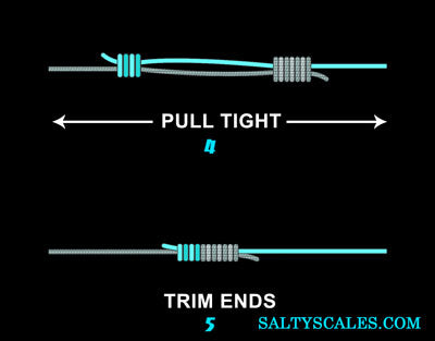 The Double Uni Knot AKA the Uni to Uni Knot