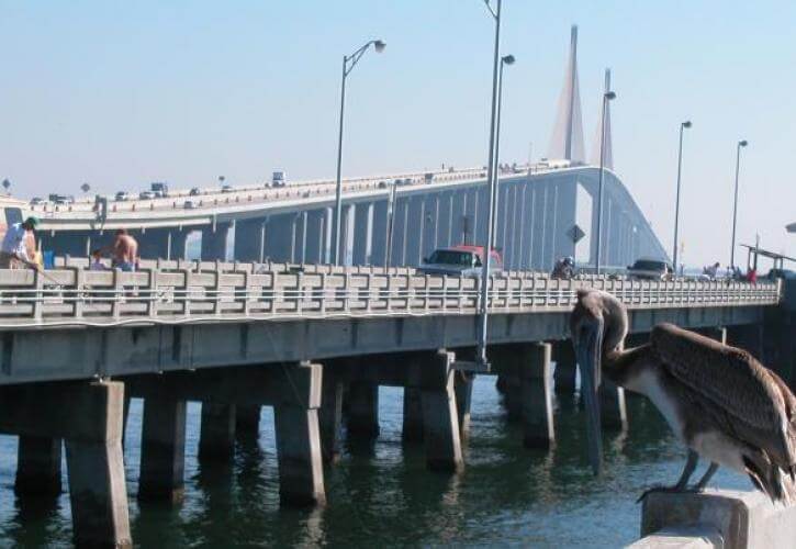 Skyway Pier Grouper Secrets - Catch More!