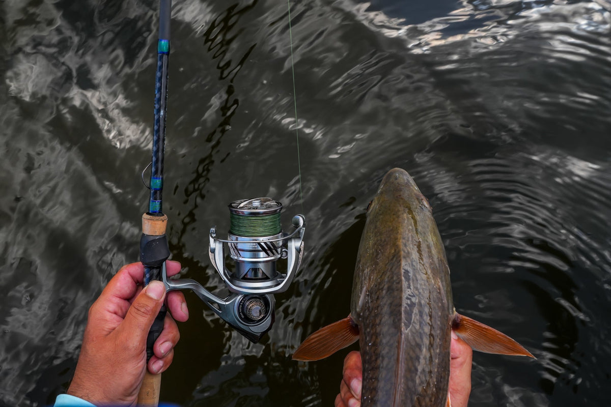 fishing corky lures FatBoy – Johnny's Sport Shop of Chapel Hill Streamer Type_Articulated Ardent Saltwater Spinning Combo Model:DX742 C SH