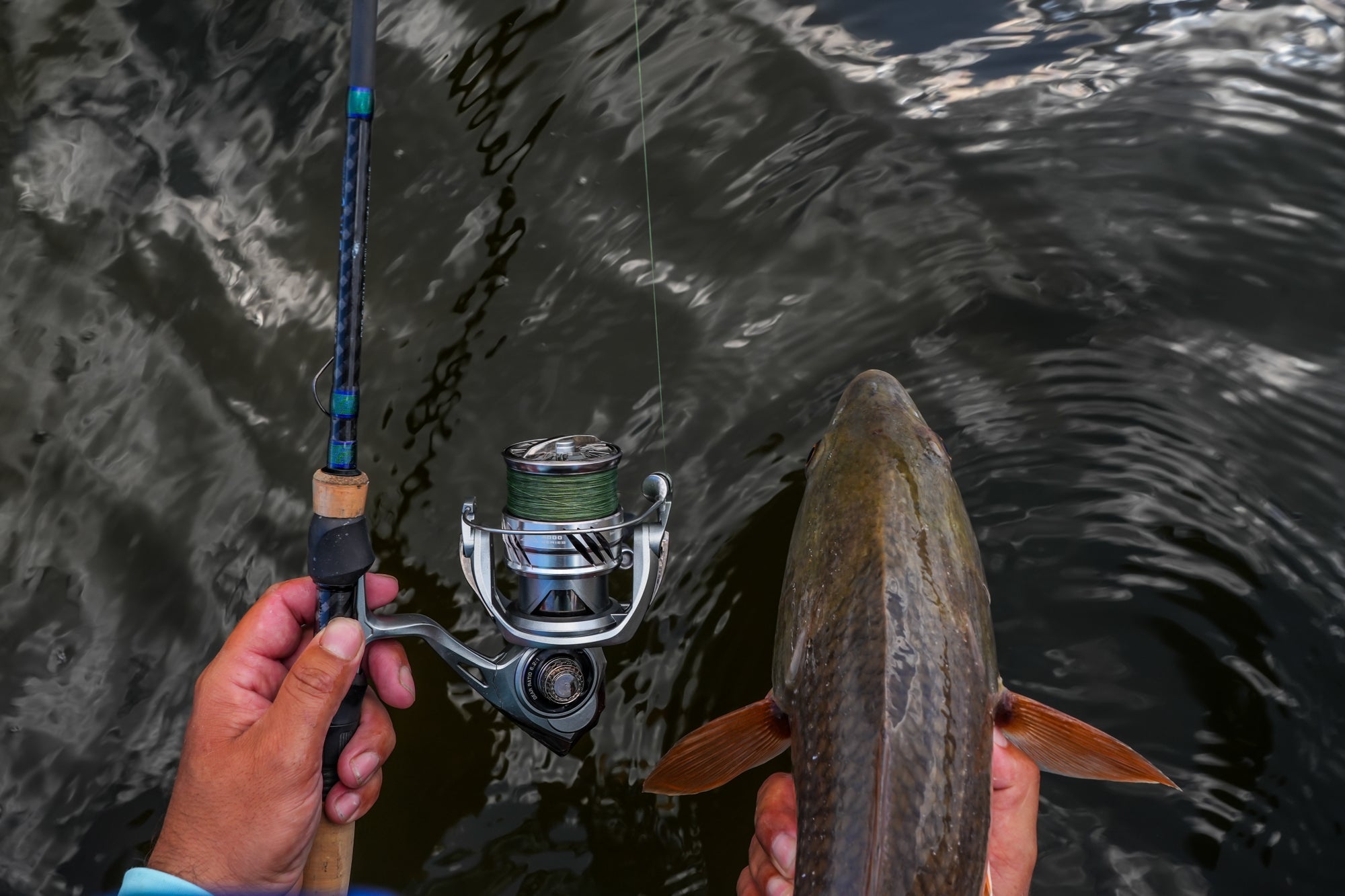 Best time to fish in Tampa Florida