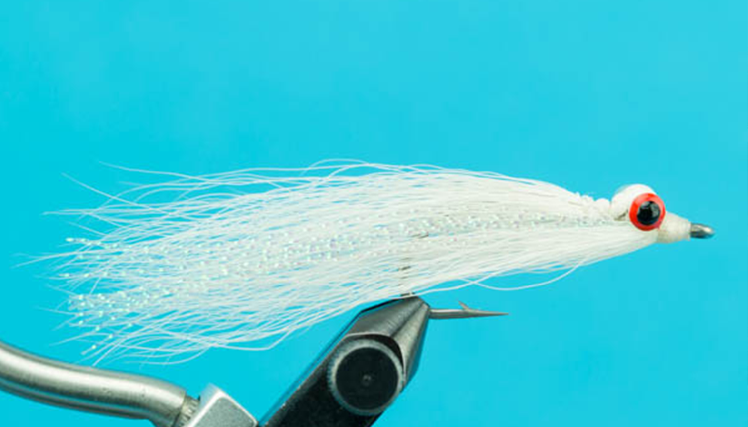 Best Flies to use when Florida Fly Fishing