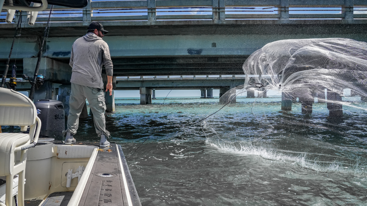 How to Throw a Cast Net & the Nuances!