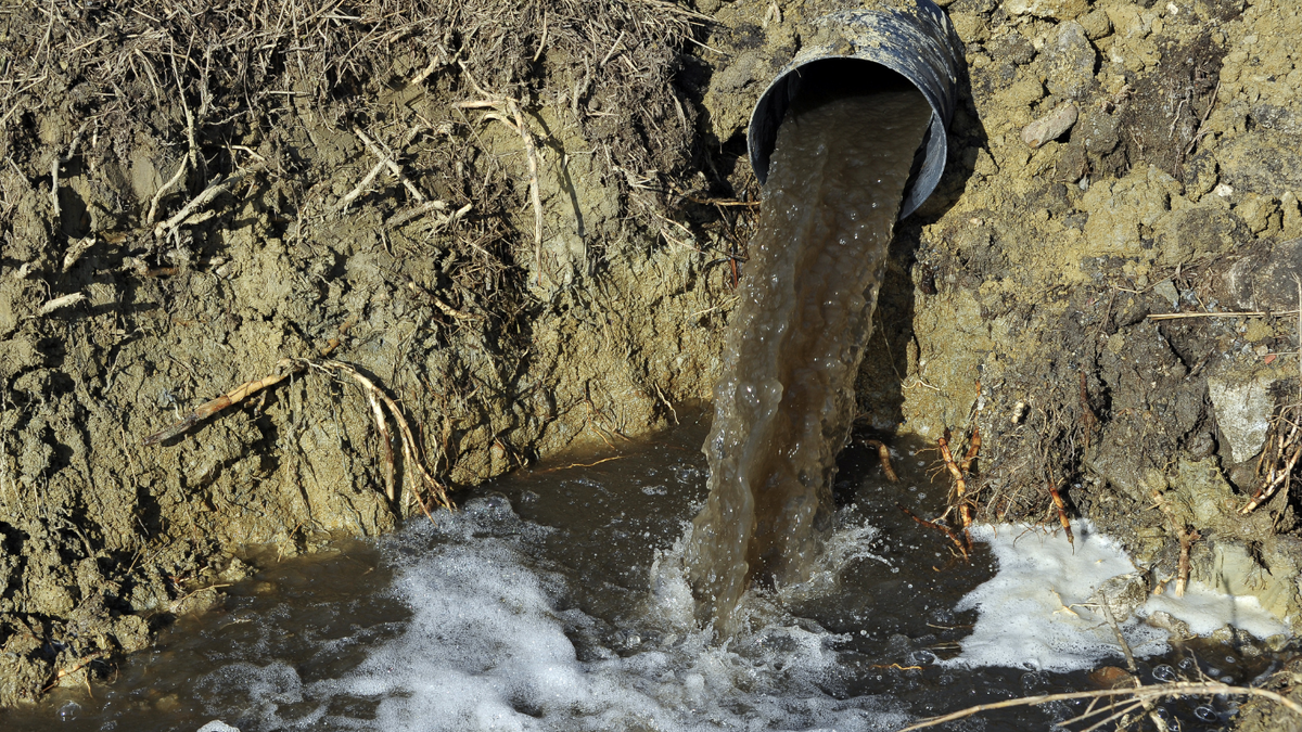 Piney Point Wastewater Collapse Still Looms