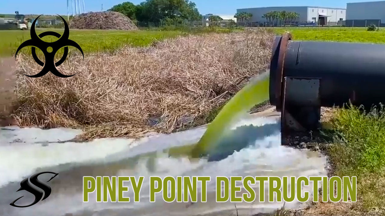 With Evacuation Underway, the Threat of Piney Point Wastewater Collapse Still Looms Large
