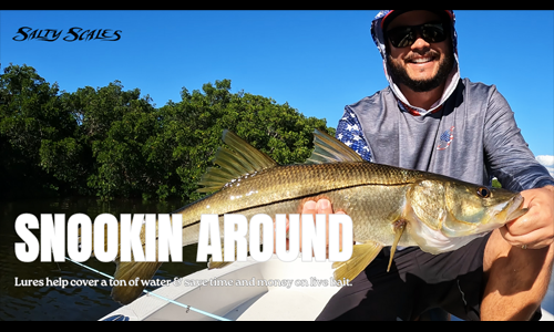 Catching Snook on Artificial Lures
